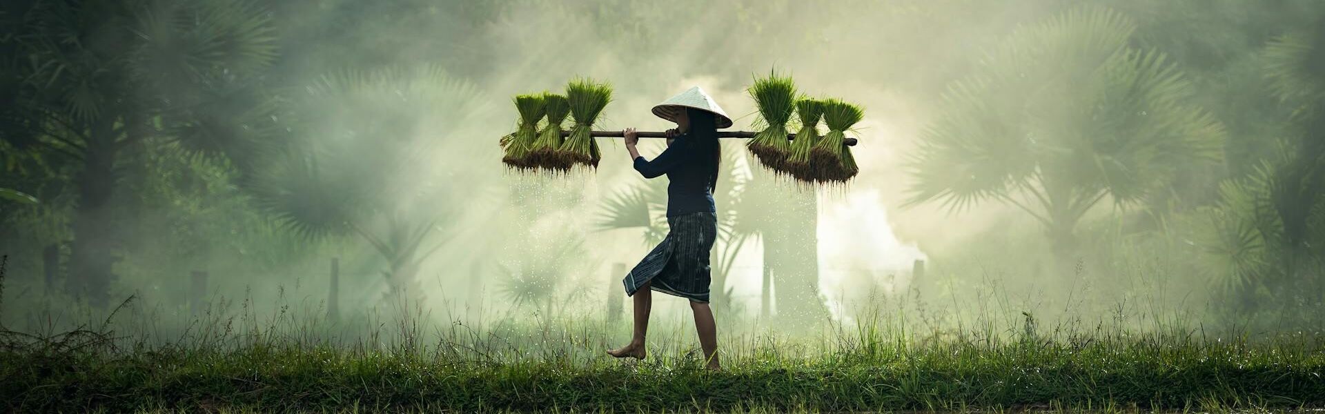 Farmer in the rural area of Muang Sing, Laos